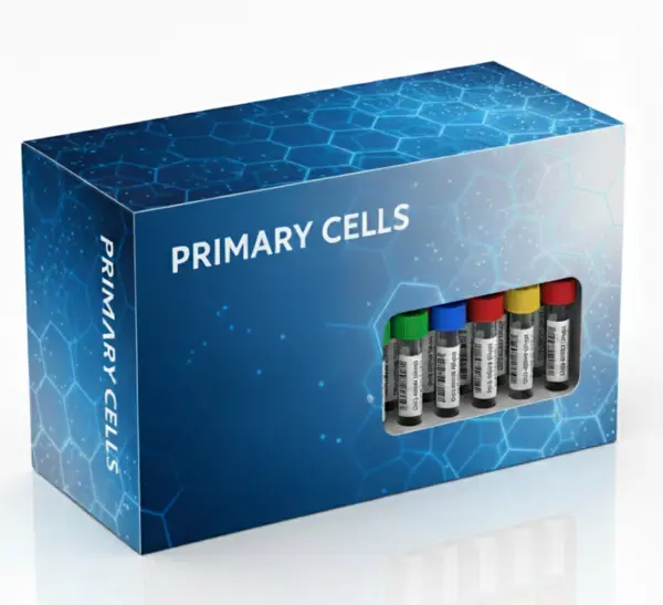 CD8+ T cells (neg. select), healthy