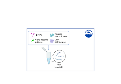 [VS-​CRF112] RT PCR Test Kits  SARS-CoV-2