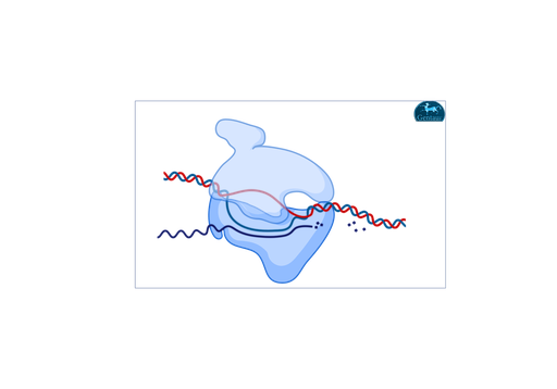 [MBRE021-​250U] ​Sma I