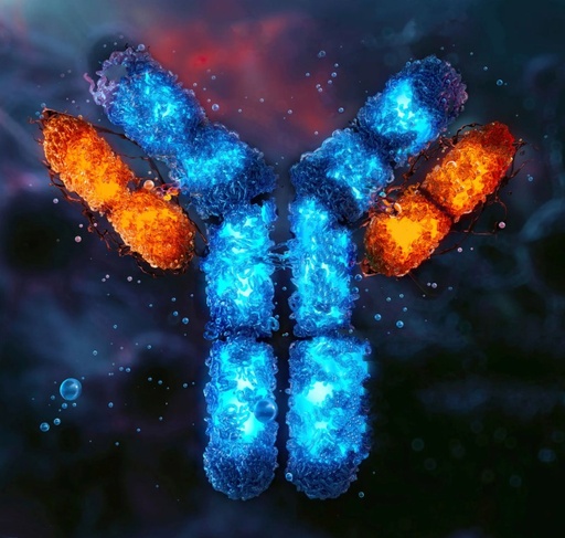 Anti-PGP antibody - 100µg