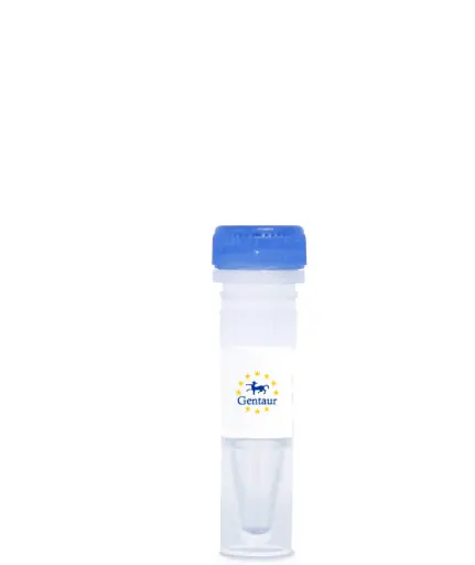 [DASHCHINK-335] genesig Easy kit for Chikungunya Virus