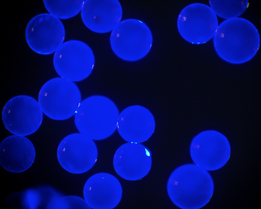 [AFB-2500-NH2] Blue PS Fluorescent Particles, 25 um-NH2