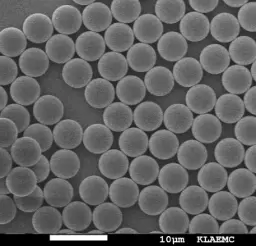 [MBPS-4000-360B] Blue Fluorescent PS Magnetic Particles, 40 um-Biotin
